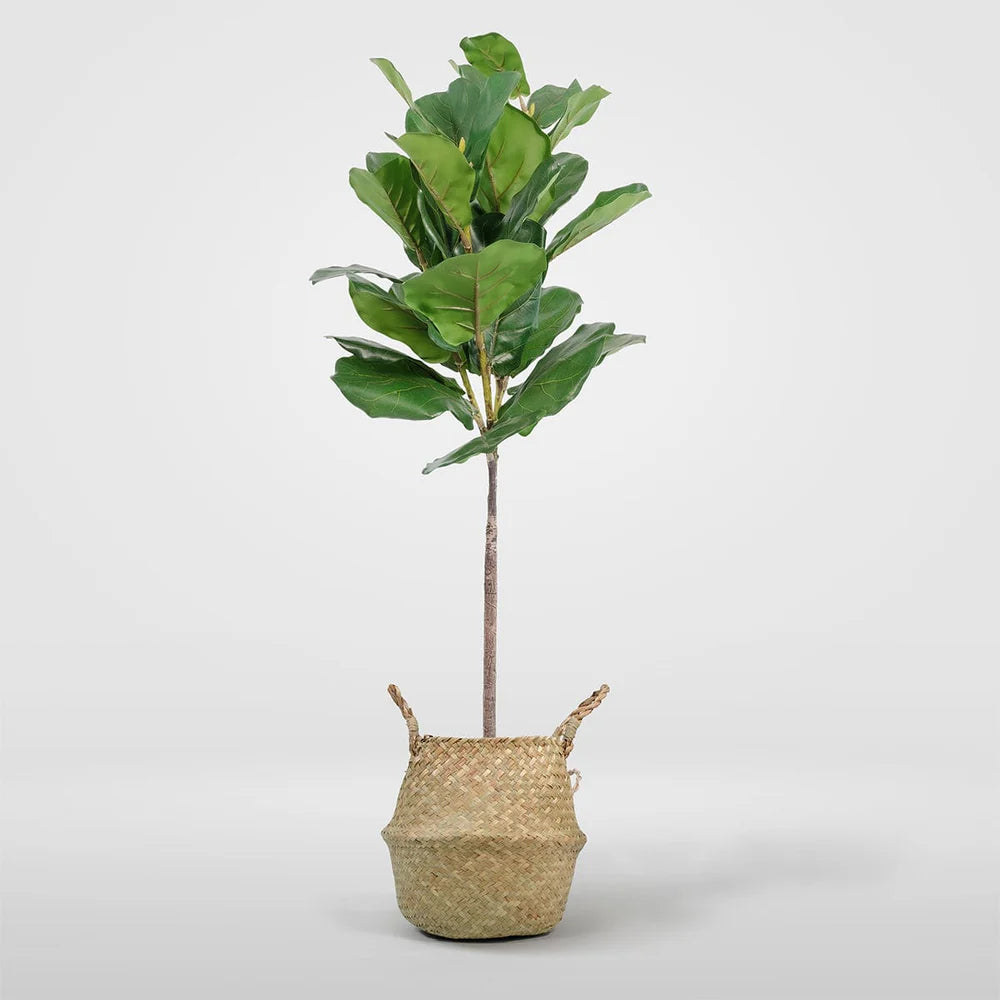 Artificial Fiddle Leaf Fig
